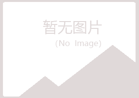 宁夏山柳机械有限公司